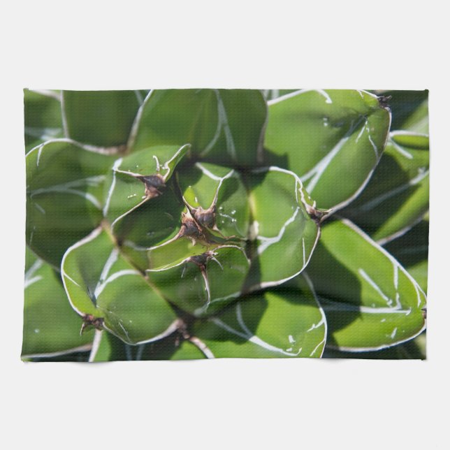 Agave Victoria Succulent Tea Towel (Horizontal)