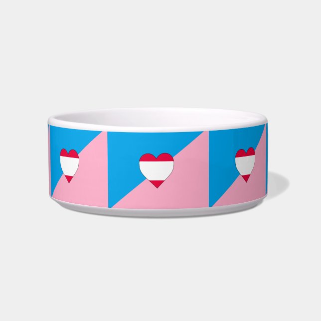 Age Play Pride Flag Bowl (Front)