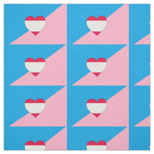 AGE PLAY PRIDE FLAG FABRIC