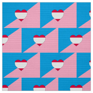 Age Play Pride Flag Fabric