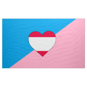 Age Play Pride Flag Fabric