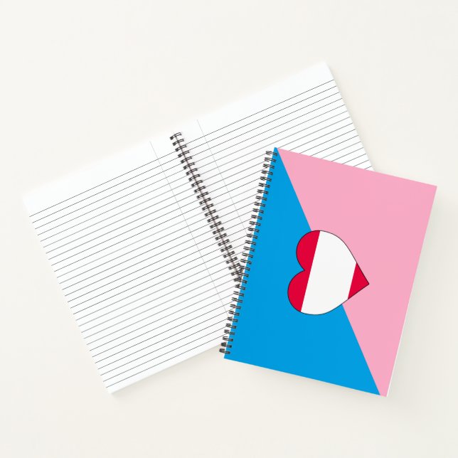 Age Play Pride Flag Notebook (Inside)