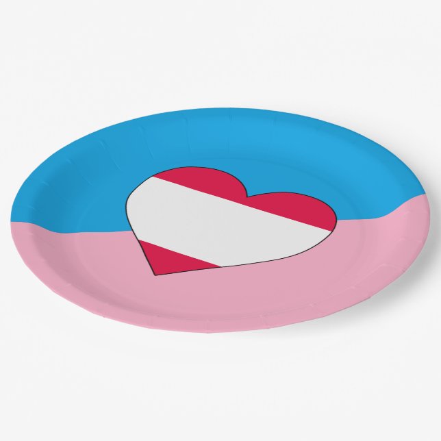 Age Play Pride Flag Paper Plate (Angled)