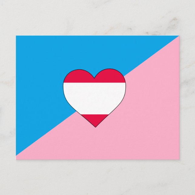 Age Play Pride Flag Postcard (Front)