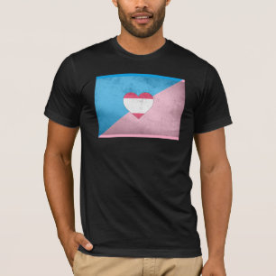 AGE PLAY PRIDE FLAG T-Shirt