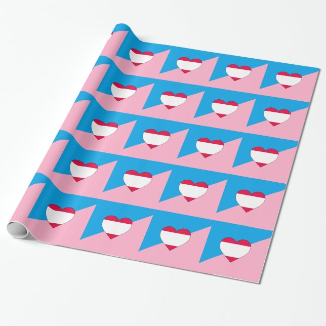 AGE PLAY PRIDE FLAG WRAPPING PAPER (Unrolled)