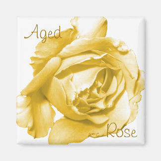 Aged Rose Square Magnet