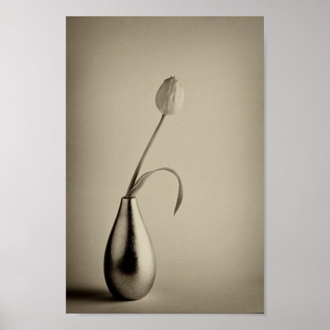 Aged sepia toned tulip in vase poster (Front)