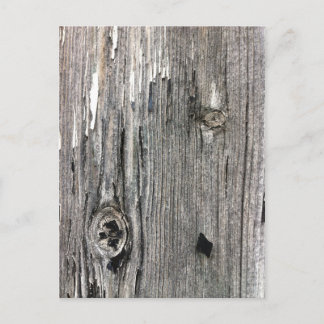 Aged wood fence posting from rustic bush setting postcard