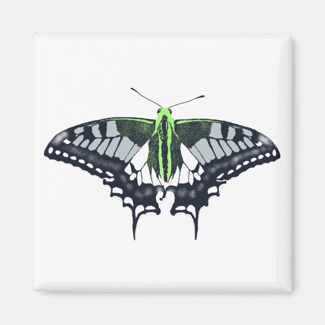 Agender Flag Swallowtail Butterfly Magnet (Front)