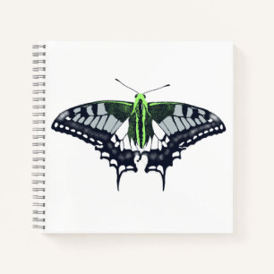 Agender Flag Swallowtail Butterfly Notebook