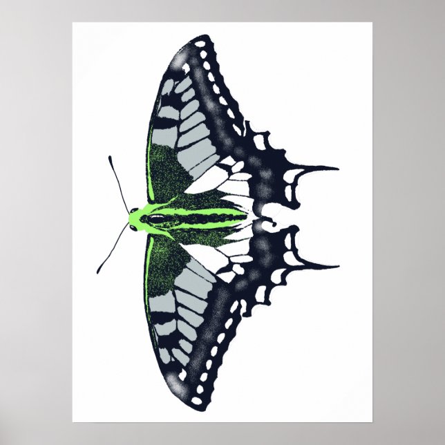Agender Flag Swallowtail Butterfly Poster (Front)