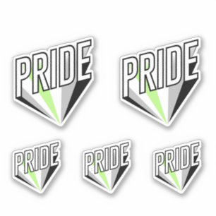 Agender Pride Burst