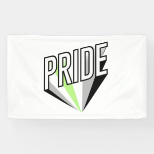 Agender Pride Burst Banner
