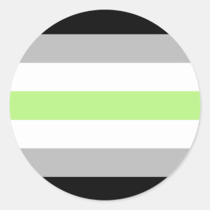 Agender Pride Flag Classic Round Sticker