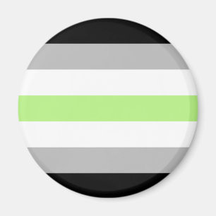 Agender Pride Flag Magnet