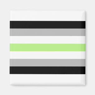 Agender pride flag magnet