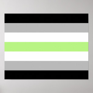 Agender Pride Flag Poster