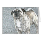 Aggravated Barking Bulldog