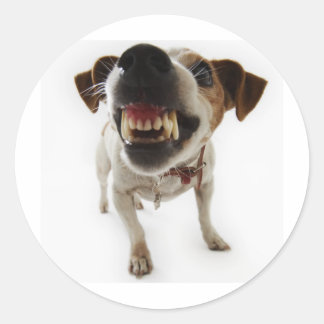 aggressive classic round sticker