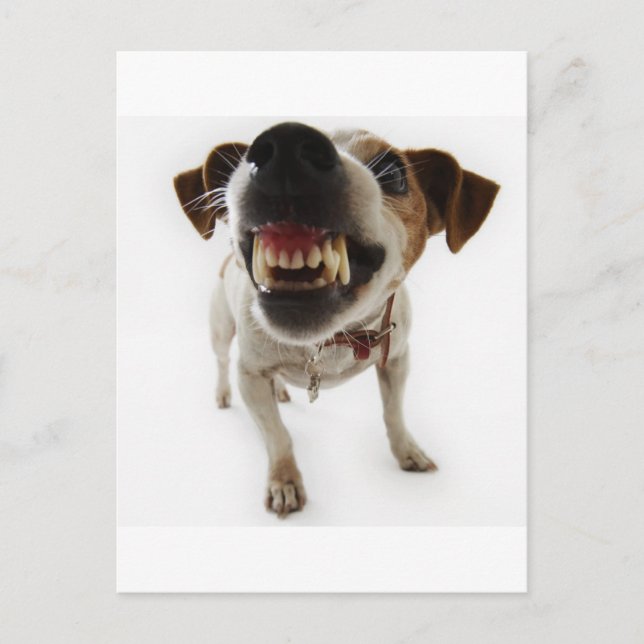 aggressive postcard (Front)