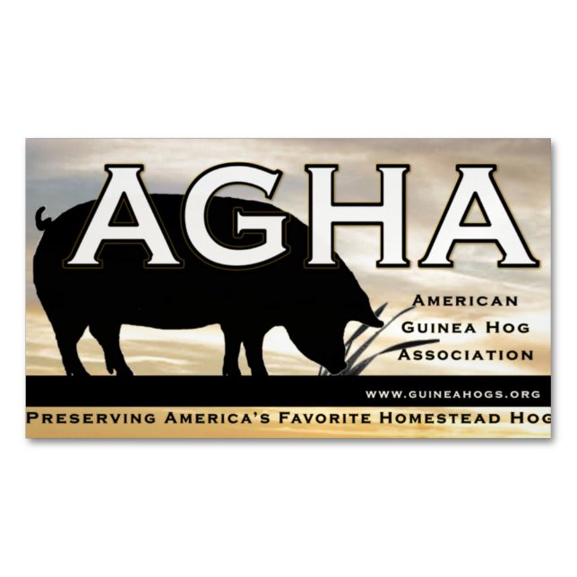 AGHA colour magnet (Front)