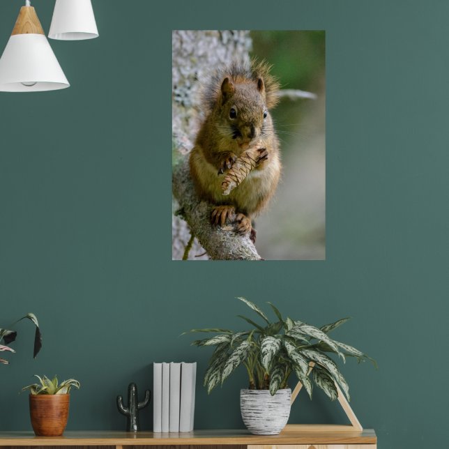 Agile Brown Squirrel in Alberta Poster (Living Room 1)