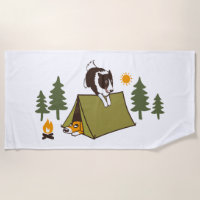 Agility Dog Cute Border Collie Camp