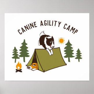 Agility Dog Cute Border Collie Camp Custom Poster