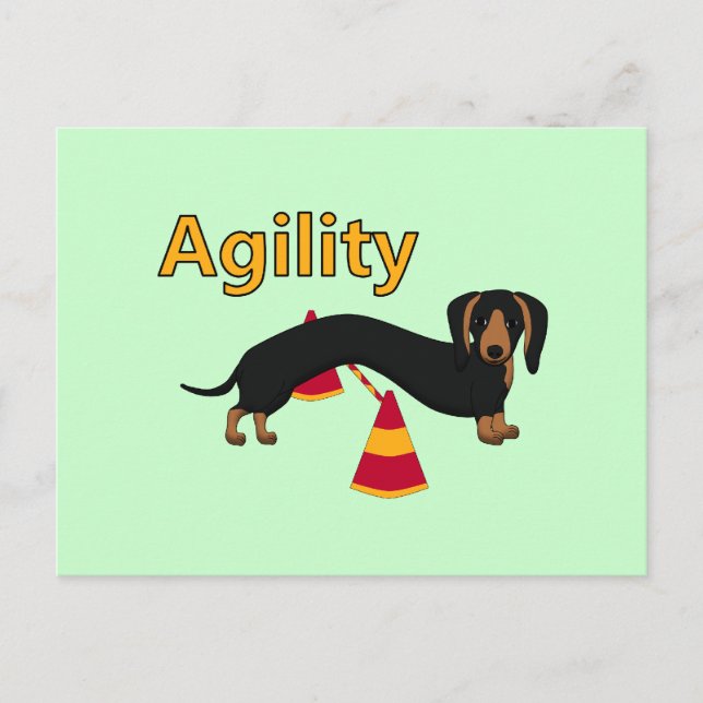 Agility dog postcard (Front)