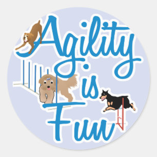 Agility Is Fun Classic Round Sticker