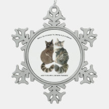 Aging humor for cat loving friends husband wife ch
