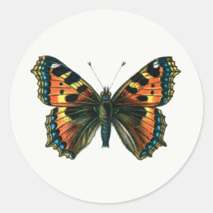 Aglais urticae - The Small Tortoiseshell Butterfly Classic Round Sticker