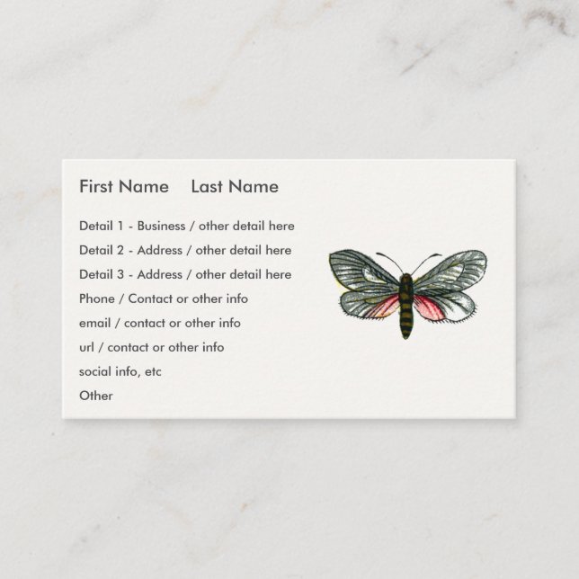 Aglaope infausta - Almond-Tree Leaf Skeletonizer B Business Card (Front)