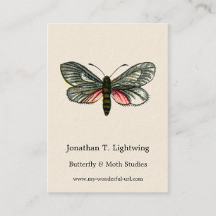 Aglaope infausta - Almond-Tree Leaf Skeletonizer B Business Card