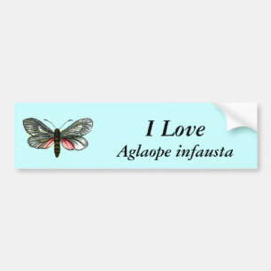 Aglaope infausta - Almond-Tree Leaf Skeletonizer Bumper Sticker