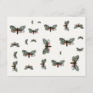 Aglaope infausta - Almond-Tree Leaf Skeletonizer Postcard