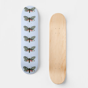 Aglaope infausta - Almond-Tree Leaf Skeletonizer S Skateboard