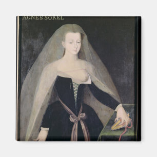 Agnes Sorel Favourite of Charles VII Magnet