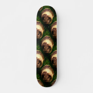 Agouti Guinea Pig in the Grass Skateboard