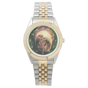 Agouti Guinea Pig in the Grass Watch