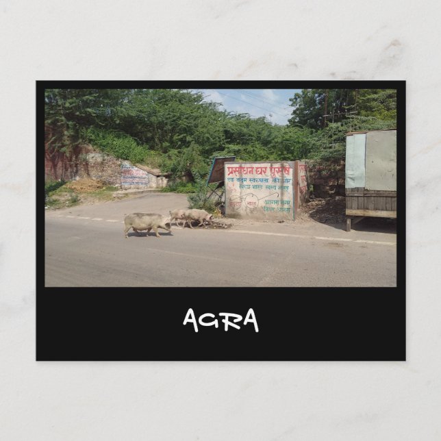 Agra, Uttar Pradesh (India) Postcard (Front)