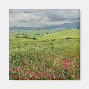 Agricultural field, Tuscany region of Italy. Magnet