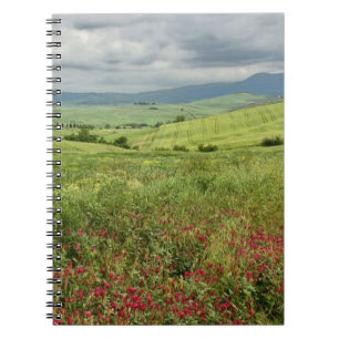 Agricultural field, Tuscany region of Italy. Notebook