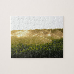 Agricultural irrigation system watering 2 jigsaw puzzle