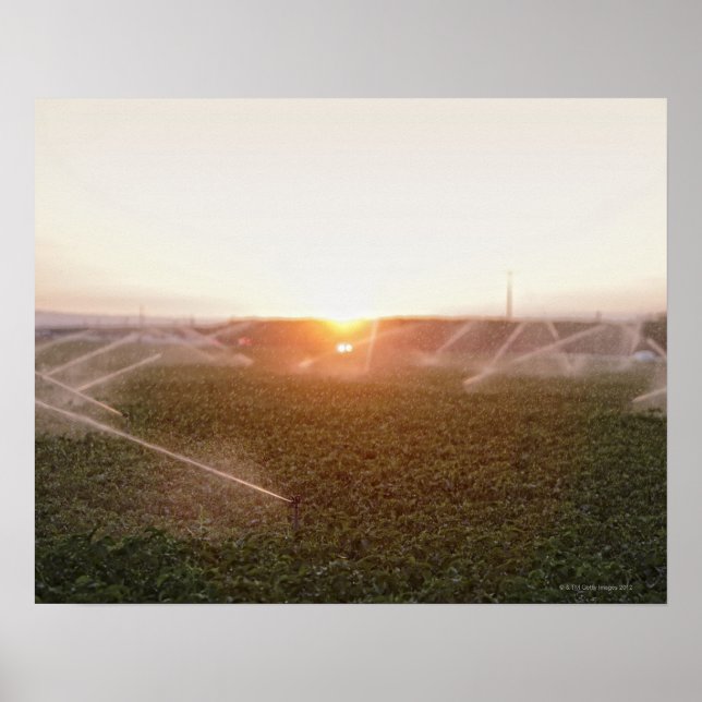 Agricultural irrigation system watering poster (Front)