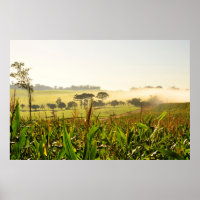 Agriculture Brazil