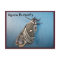 Aguna Butterfly Postcard #2