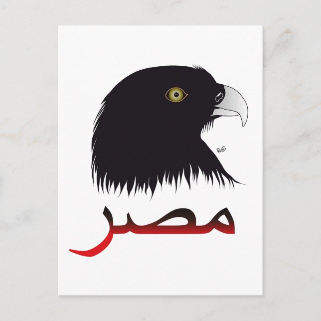 Ägypten - Egypt Postkarte Postcard (Front)