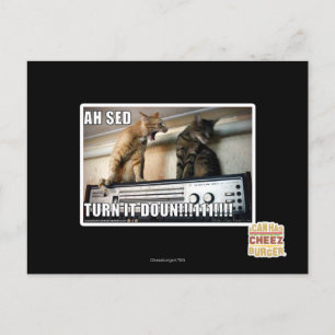 Ah Sed Turn it Down!! Postcard